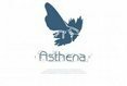 Asthena Interactive