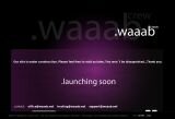 waaab crew