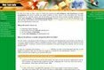 Freelance web developer